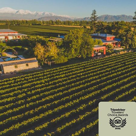 Enlace Wine House ルハン・デ・コージョ エクステリア 写真