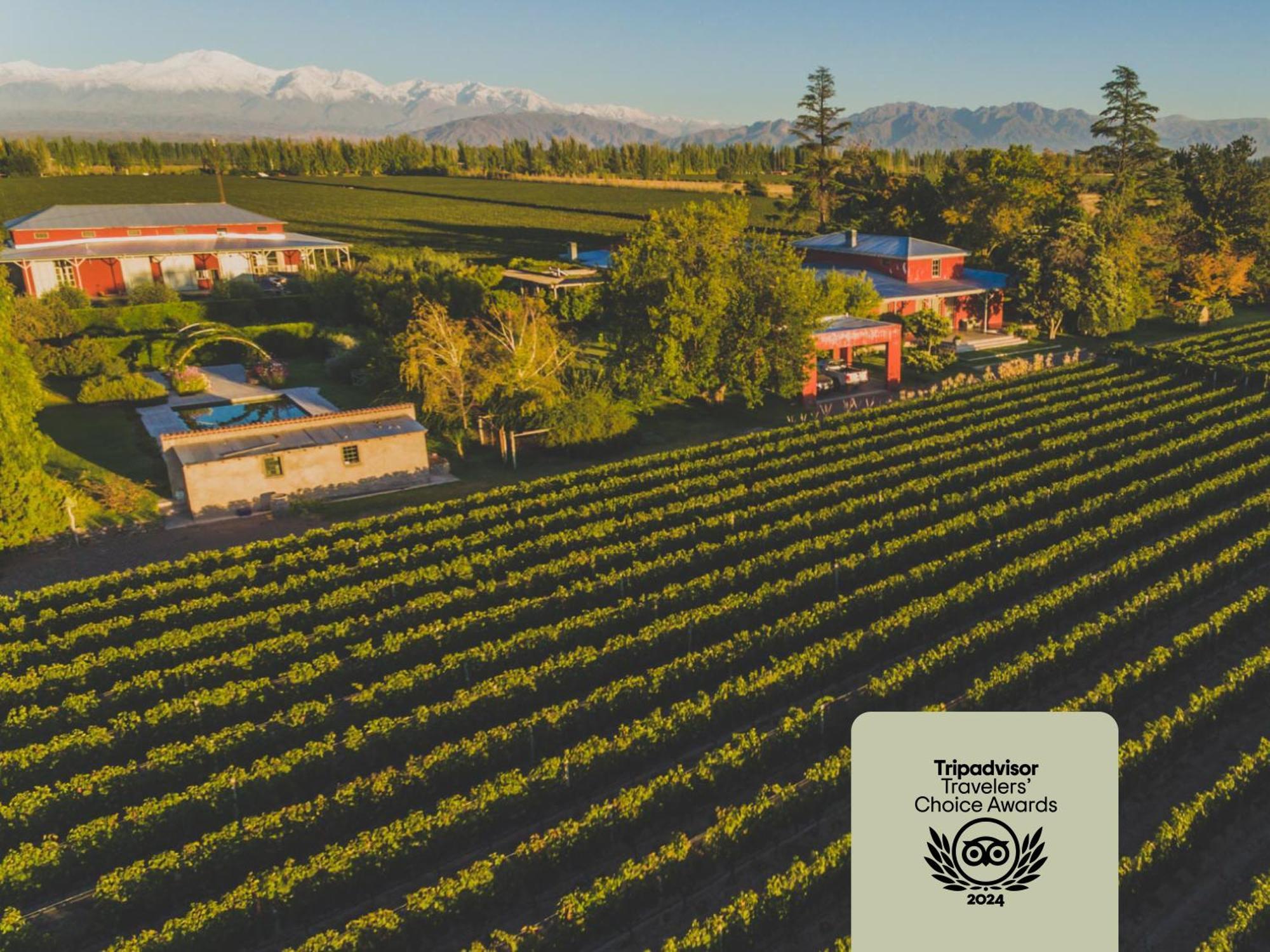 Enlace Wine House ルハン・デ・コージョ エクステリア 写真